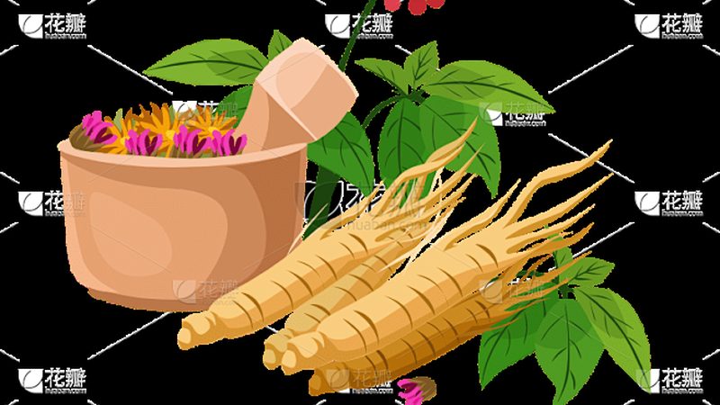 推拿床与按摩床：功能差异大揭秘