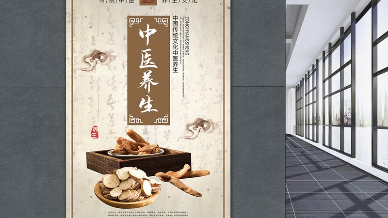 中医理疗与西医理疗：探寻两者差异与选择之道